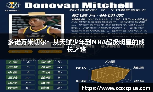 多诺万米切尔：从天赋少年到NBA超级明星的成长之路